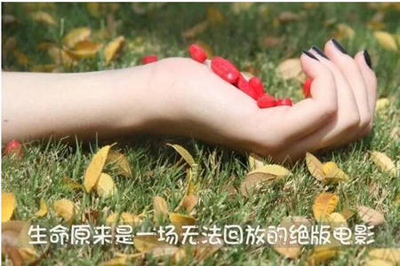 发表心情的说说朋友圈 你的善良要留给那些懂得感恩的人图片