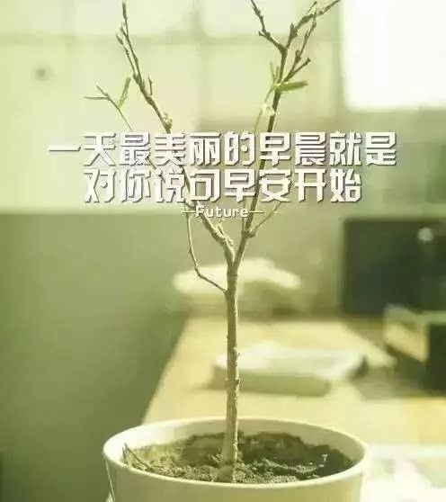 早晨充满正能量的句子，早安图片