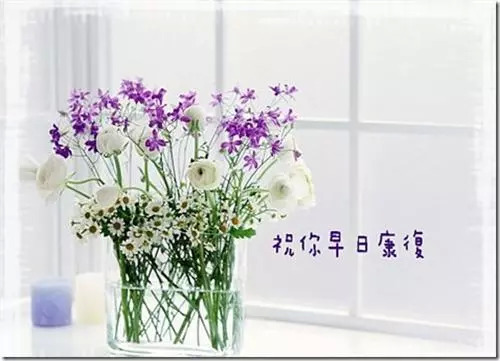 祝福病人的简短的话 表达早日康复的句子图片