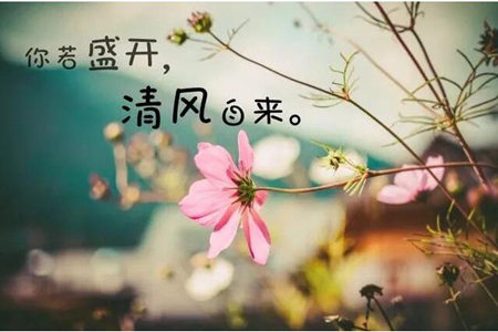 发表心情的说说朋友圈 你的善良要留给那些懂得感恩的人图片