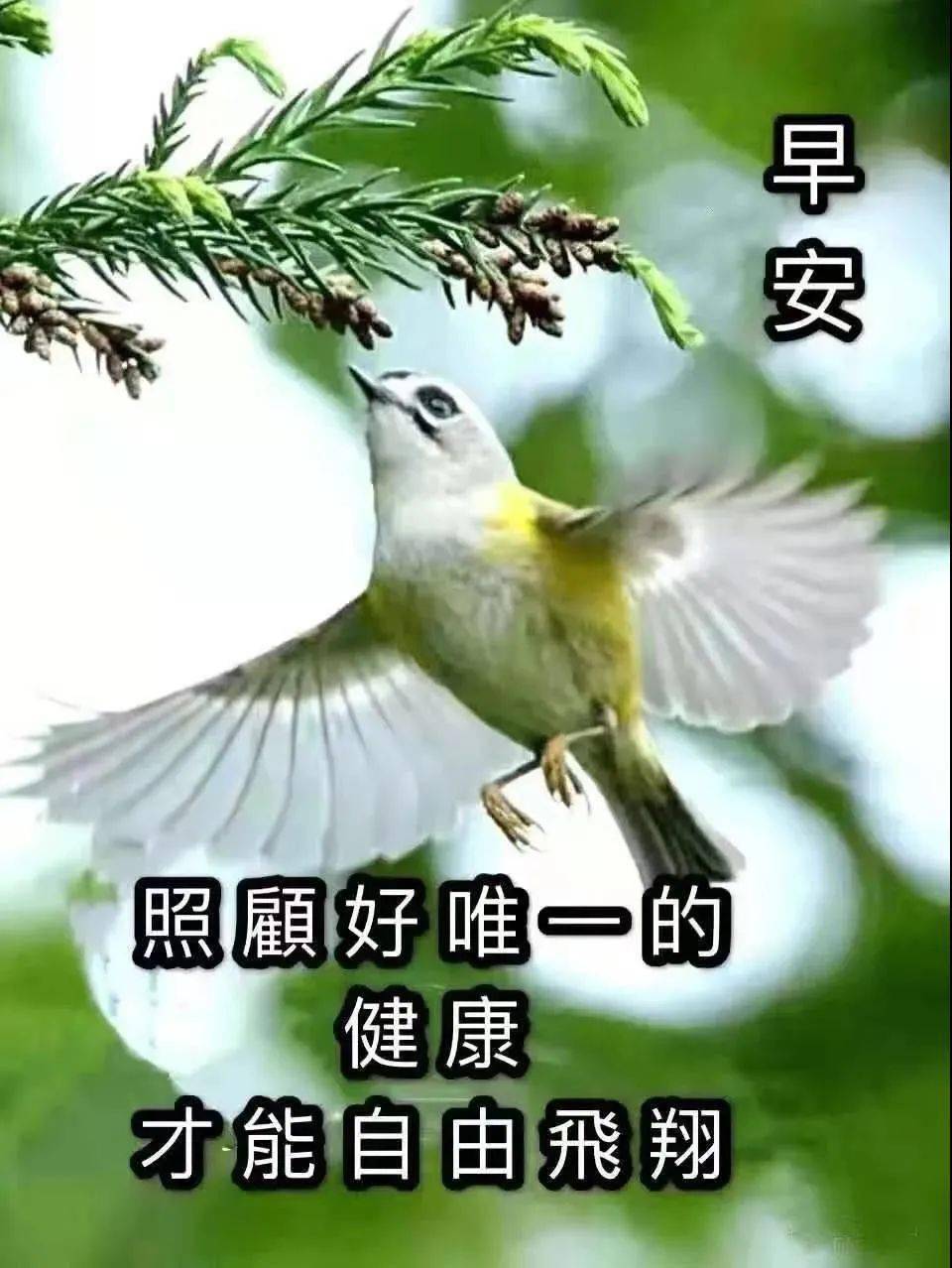 早上好2022 最新图片图片