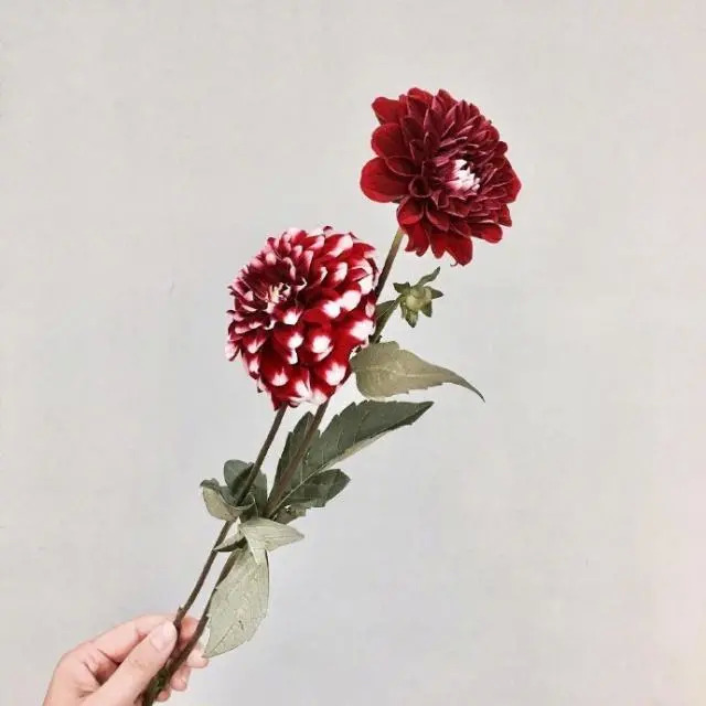 干净唯美的句子打动人心 	朋友圈简单干净的句子图片