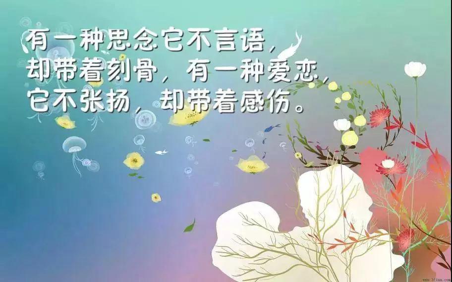 努力学习的励志朋友圈文案句子70句