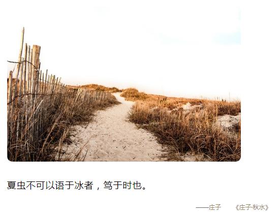 夏虫不可以语于冰者，笃于时也图片
