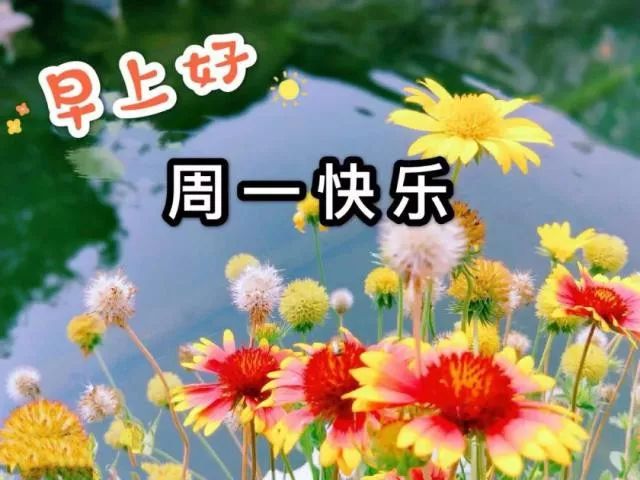 早安语八个字一句，2020早安正能量朋友圈