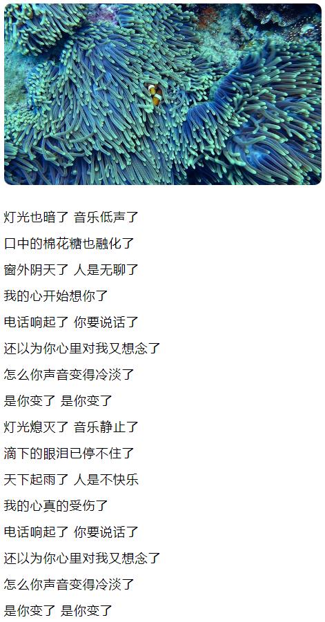 灯光也暗了 音乐低声了 口中的棉花糖也融化了图片