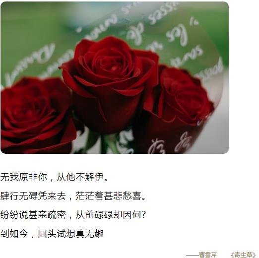 无我原非你从他不解伊肆行无碍凭来去茫茫着甚悲愁喜