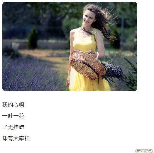 我的心啊一叶一花了无挂碍却又太牵挂