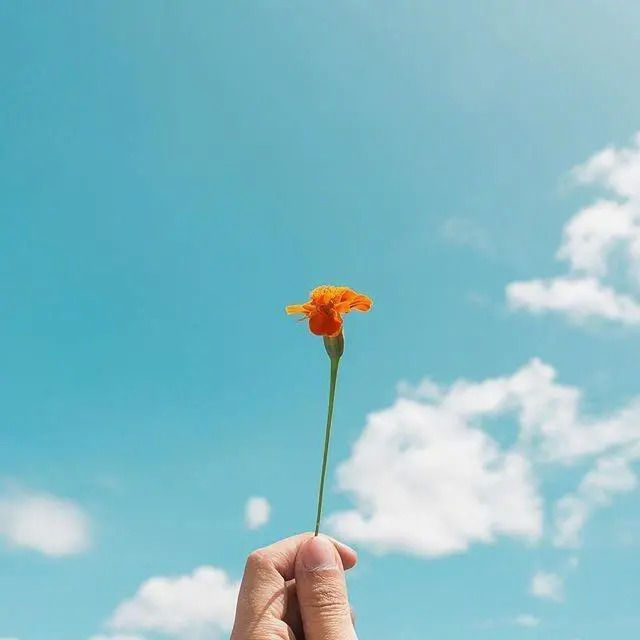 女人独立霸气的句子 正能量美丽的短句图片
