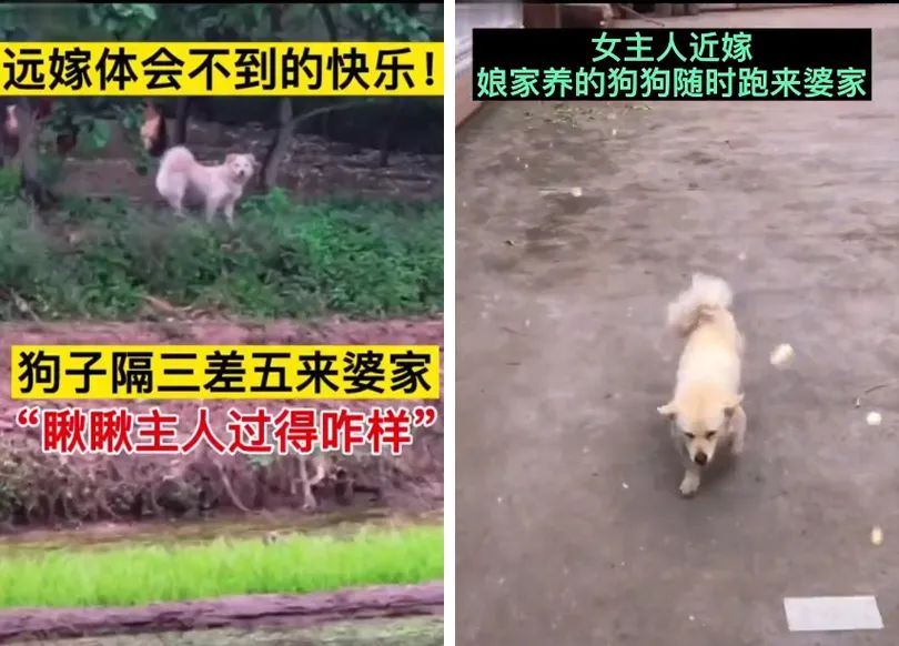 神回复：我坐前头给老公挡风图片