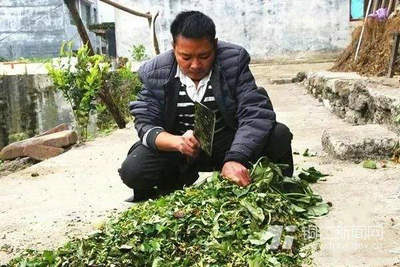 顺境为成功者铺设轨道，逆境为杰出者打造天梯