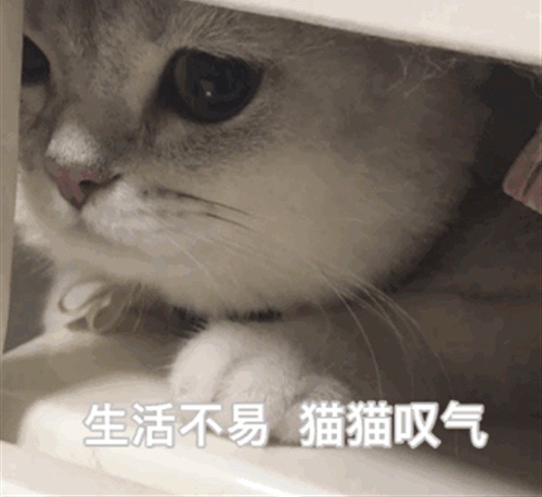 腰疼想发朋友圈的句子