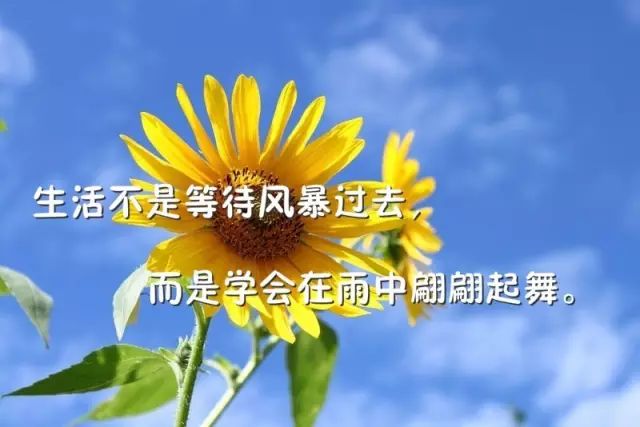 让人一看就赞的早安说说，适合大清早发的朋友圈