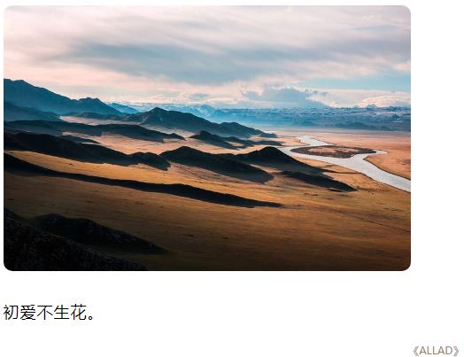 初爱不生花图片