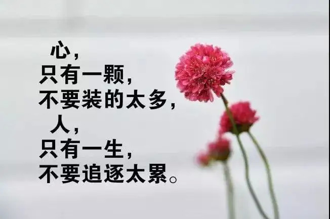 人生感悟句子句句入骨  句句说到心坎上的句子图片