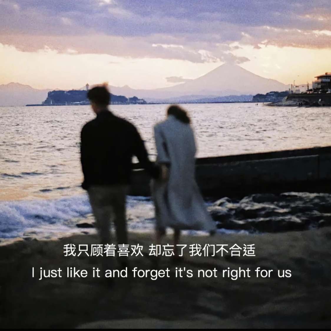 我只顾着喜欢 却忘了我们不合适