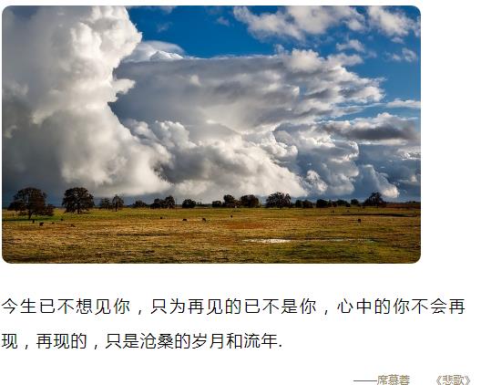 今生已不想见你,只为再见的己不是你图片