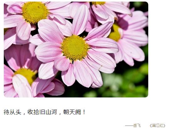 待从头收拾旧山河朝天阙