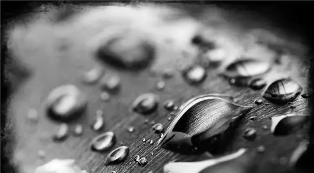 下雨天的优美句子 雨夜听雨心情随笔图片