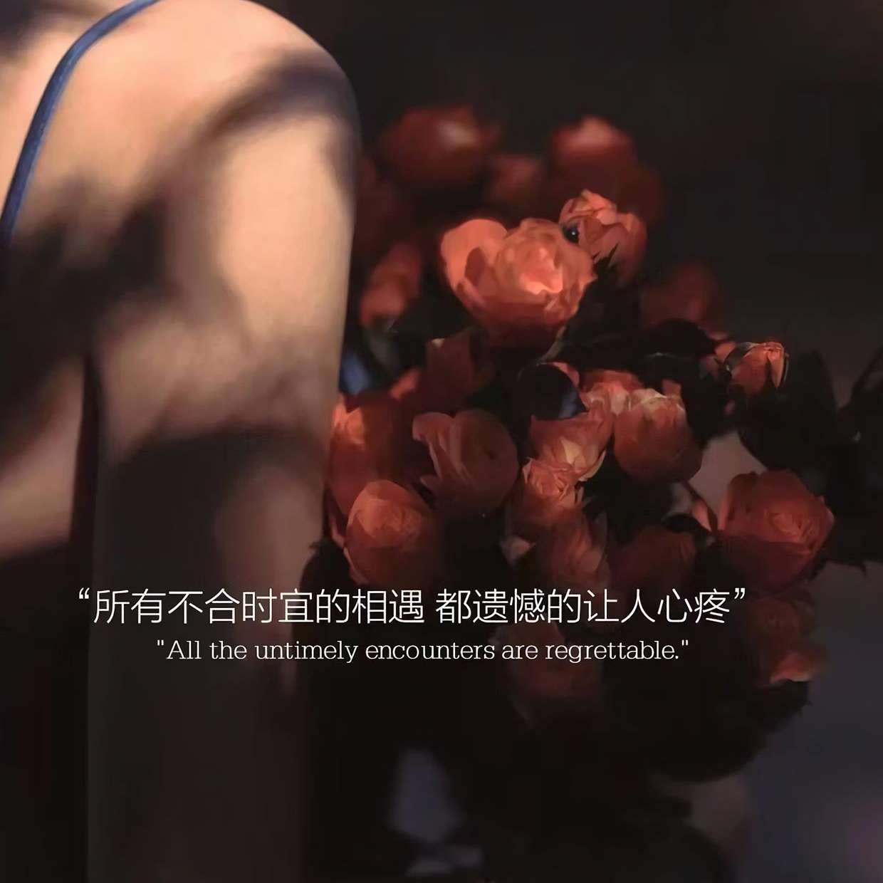 所有不合时宜的相遇 都遗憾的让人心疼