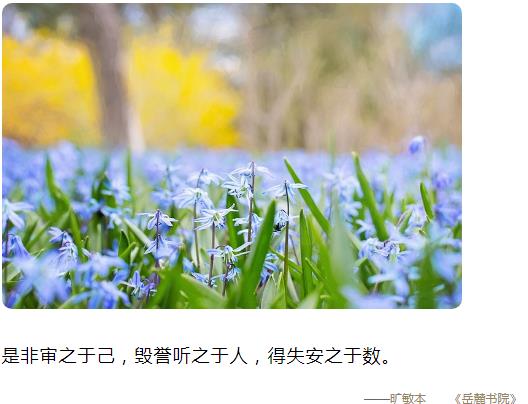是非审之于己，毁誉听之于人，得失安之于数图片