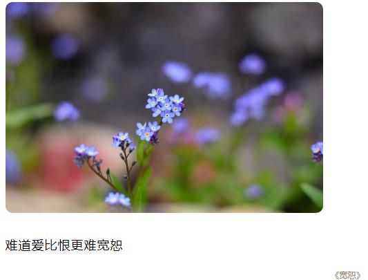 爱比恨更难宽恕图片