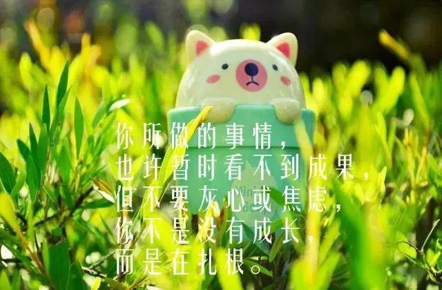 廉洁的名言警句50句