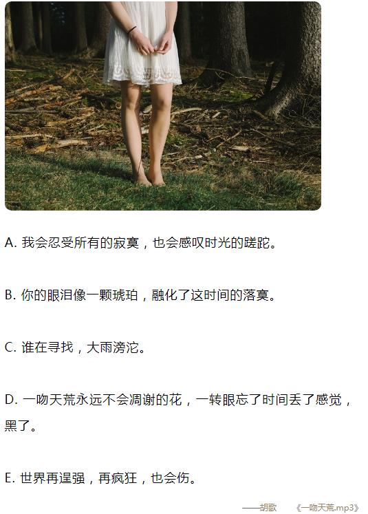 我会忍受所有的寂寞,也会感叹时间的蹉跎