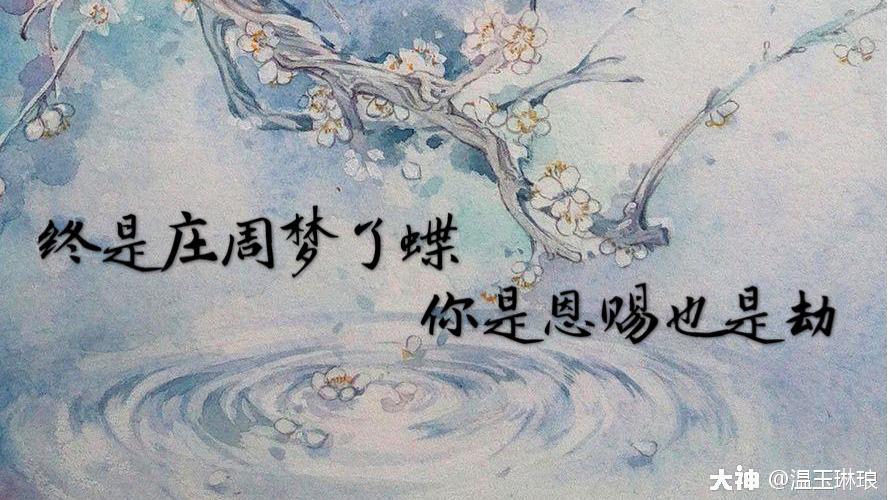 终是庄周梦了蝶，你是恩赐也是劫