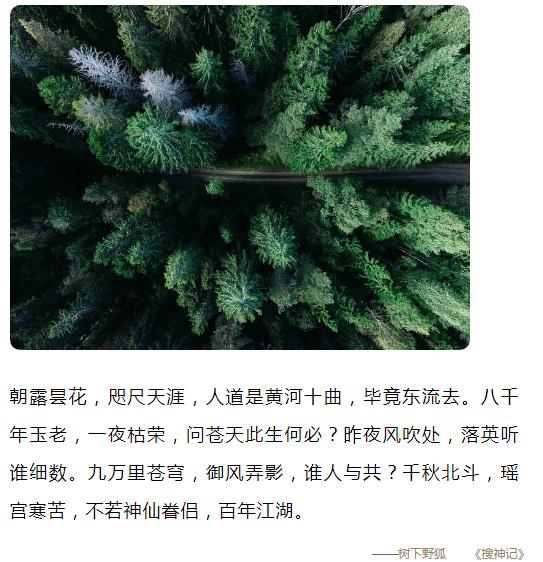 朝露昙花咫尺天涯人道是黄河十曲毕竟东流去图片