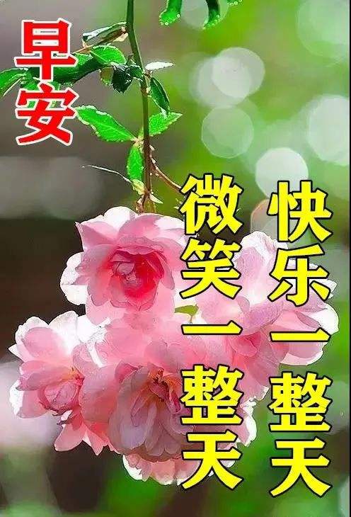 早上好图片 最新图片2022风景图片
