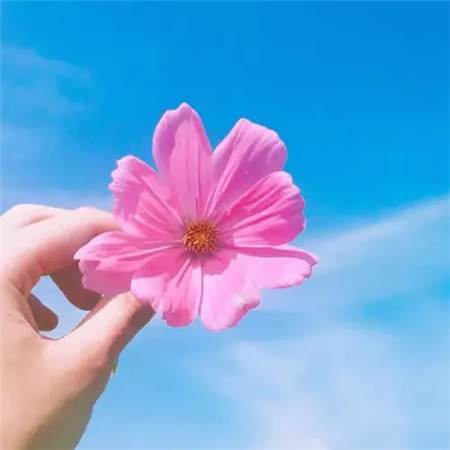 微信头像简约小清新干净图片