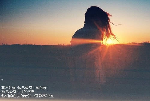看了就想哭的一段话