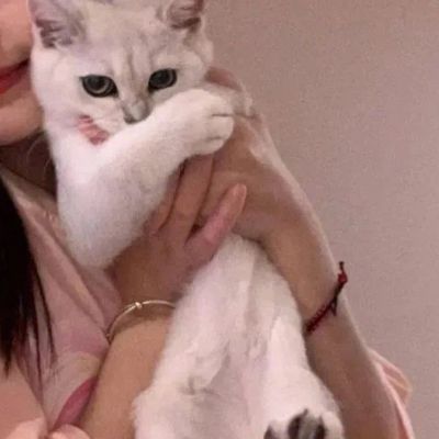 最难找到的情头真人高清低调不容易发现 (精选20张)图片