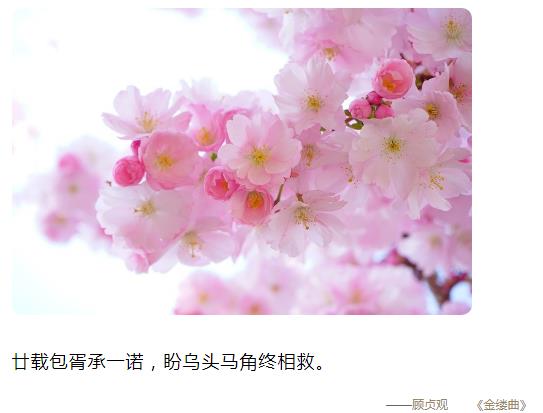 廿载包胥承一诺,盼乌头马角终相救图片