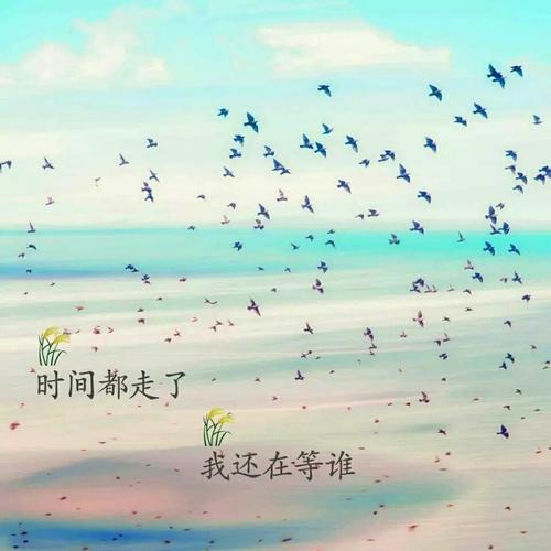 谁在等我 我在等着谁图片