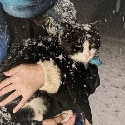 最难找到的情头真人高清低调不容易发现 (精选20张)图片