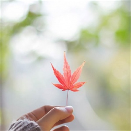 微信头像简约小清新干净图片