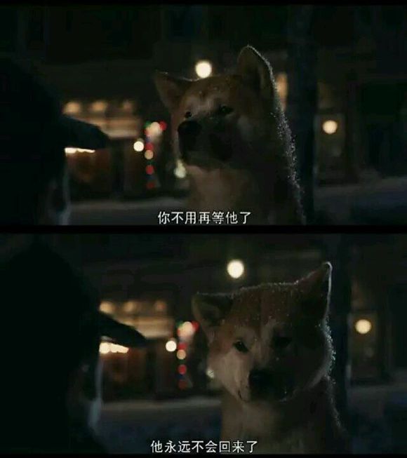 那些年让你心动的电影经典语录图片 抖音短句你喜欢的电影经典台词