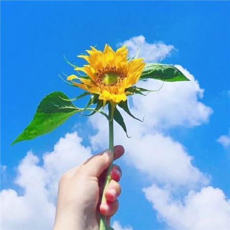 给人一种阳光温暖的头像图片