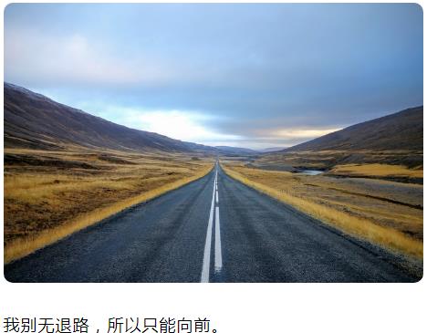 我别无退路，所以只能向前图片