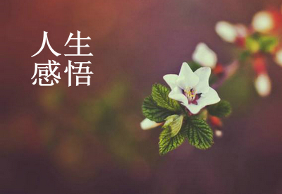
4、人最可悲的是自己不能战胜自己