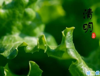 2020清明节祝福语大全 清明节祝福简短优美