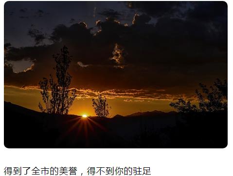 得到了全市的美誉 得不到你的驻足图片