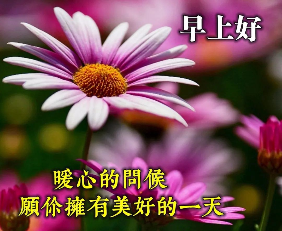 2020早安最火图片，早上好 简短图片