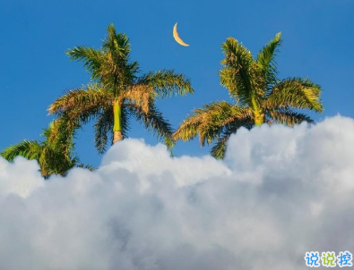 2020七夕情人节祝福的话 七夕简短祝福语一句话