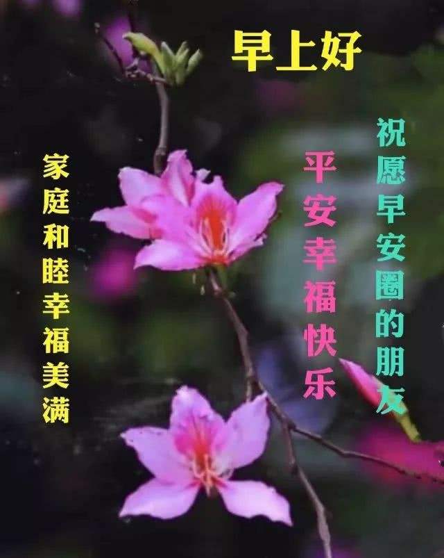 冬天公园早上好图片图片