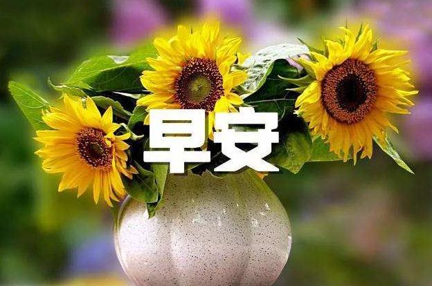 早晨最暖心的问候语 2021年最火的早安句子图片