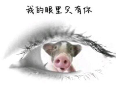 我的眼里只有你，你的大脸让我看不到别人文字背景图