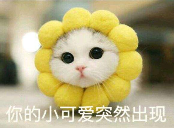 50个撩汉金句